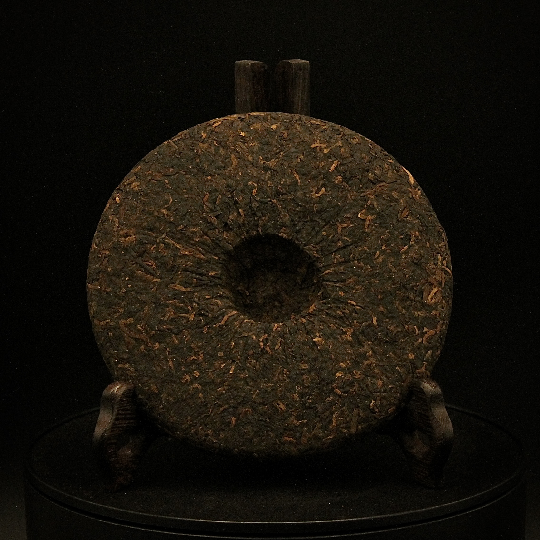 Гунтин Тянь Нуо, 2009г